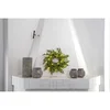 Vánoční věnec s LED osvětlením Star Trading Lummer, 38 cm