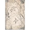 Vlněný koberec Botany 240x340 cm