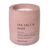 Vonná sojová svíčka Fraga Sea Salt and Sage (24h doba hoření)