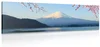 Výhled na Fuji - originální obraz na plátně