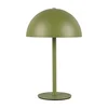 Zelená LED stolní lampa Munoz – Trio