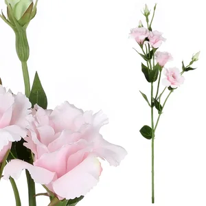 Autronic Eustoma KT7909 Růžová