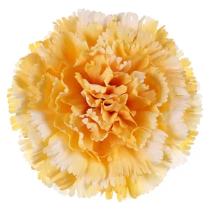 Autronic karafiát KUM3420-YEL, 12 ks, žluté