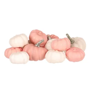 Autronic plastové dýně – mix 12 ks PRZ4027