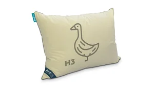 BEDTON A-DUR MEDIUM péřový polštář 40×60 cm – krémová sypkovina, světle zelená lemovka