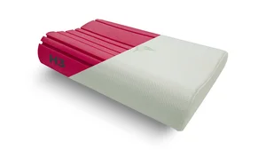 BEDTON JAM ANATOM RED MEDIUM 40×60 cm