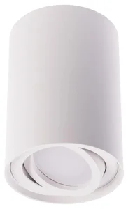 Bílé přisazené výklopné svítidlo BORD XS