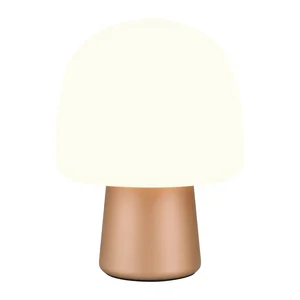 Bílo-bronzová stolní lampa Steen - Trio