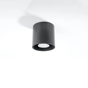 Bodové svítidlo Roda 10 cm, tmavě šedé