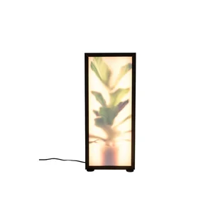 Černá stojací lampa Grow