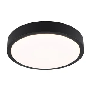 Černé LED stropní svítidlo Iseo 40 cm