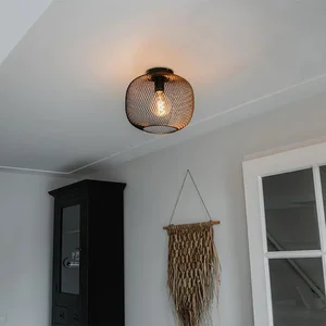 Černé stropní svítidlo Bliss Mesh