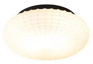 Černé stropní svítidlo s opálovým sklem 23 cm IP44
