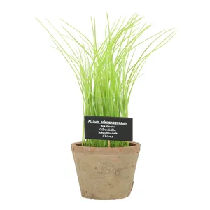 Chives – umělá rostlina 27 cm