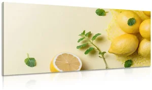 Citrony s mátou – moderní obraz do vašeho interiéru