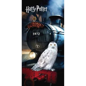 Dětská bavlněná osuška Hedwig 70×140 cm