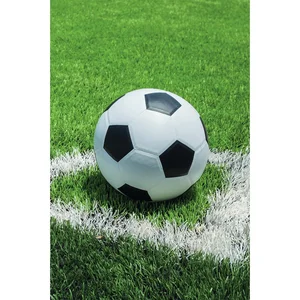 Dětská fleece deka Football 100×150 cm – Jerry Fabrics