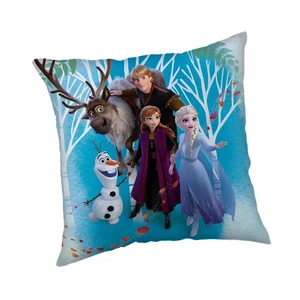 Dětský fleecový polštářek Frozen Family – Jerry Fabrics