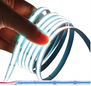 EcoPLANET Neon COB LED pásek 12V modrý, 50 m