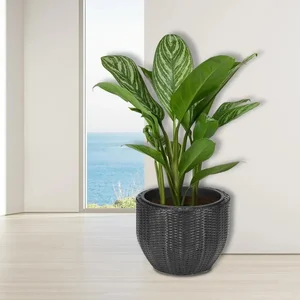 Elegantní květináč LILY v antracitové barvě