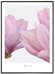 Elegantní obraz Magnolia 30x40 cm