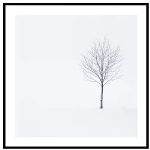 Elegantní zimní strom - 30x30 cm Umělecký obraz