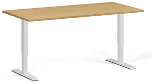 Elektricky výškově nastavitelý stůl 160x80 cm s dvojitým motorem