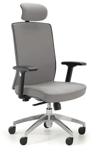 Ergonomická kancelářská židle ALTA F šedá