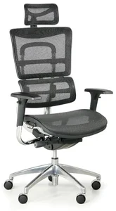 Ergonomická kancelářská židle WINSTON SAA černá