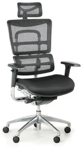 Ergonomická kancelářská židle WINSTON SAB, černá