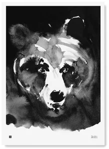 Finský plakát Medvěd Mysterious 50x70 cm