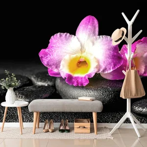 Fototapeta Orchideje na Zen kamenech