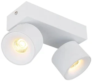Globo RAE 2xLED 6W Bílé Bodové Světlo