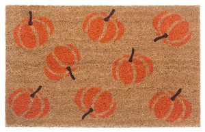 Hanse Home rohožka Mix Mats 105677 Cocos 45x75 cm