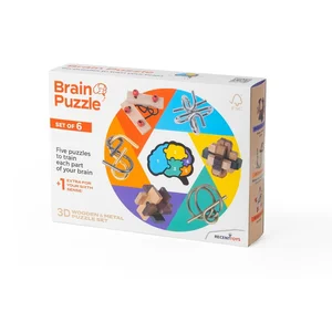 Hlavolam Brain Puzzle
