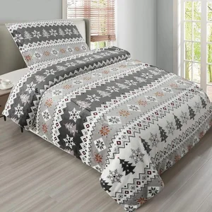 Homeville Mikroplyšové Povlečení Magic Flake 140x200/70x90 cm