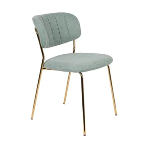 Jídelní židle Jolien 2ks světle zelená