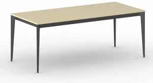 Kancelářský stůl PRIMO ACTION 200x90 cm černá/bříza