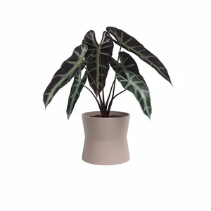 Keramický květináč Diana, 14 cm