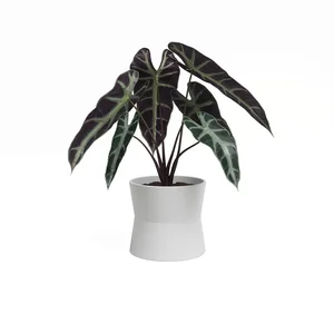 Keramický květináč Diana 20 cm
