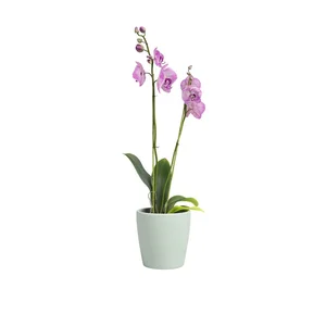 Keramický květináč Thalia 14cm