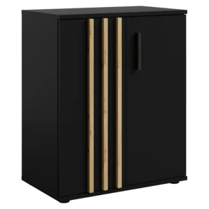 Komoda 2D TOLIS Typ 1 – černá/dub artisan