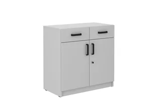 Komoda AGEPSTA 2D2S světle šedá