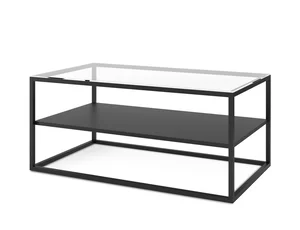 Konferenční stolek LOBOPHYLLIA se sklem a policií, černá