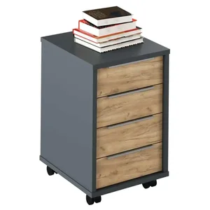 Kontejner RIOMA NEW TYP 14 grafit/dub artisan