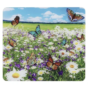 Kryt na zeď u sporáku 50×56 cm z tvrzeného skla – Maximex