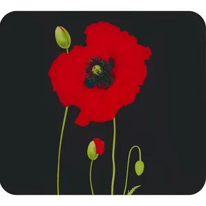 Kryt na zeď u sporáku z tvrzeného skla 50x56 cm Poppy – Maximex