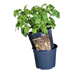 Květináč na brambory Esschert Design 30,2 cm