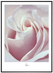 Květinový obraz Fragrance 30x40 cm