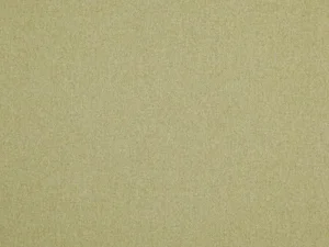 Látka Braveheart 19 – Pistachio